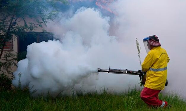 China en emergencia por brote de Chikungunya