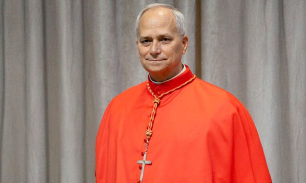 El papa León XIV pide silencio de las armas y apertura al diálogo en Ucrania y Mozambique