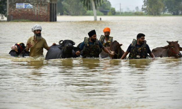 Al menos 29 personas murieron por las inundaciones en el estado de Punyab, India