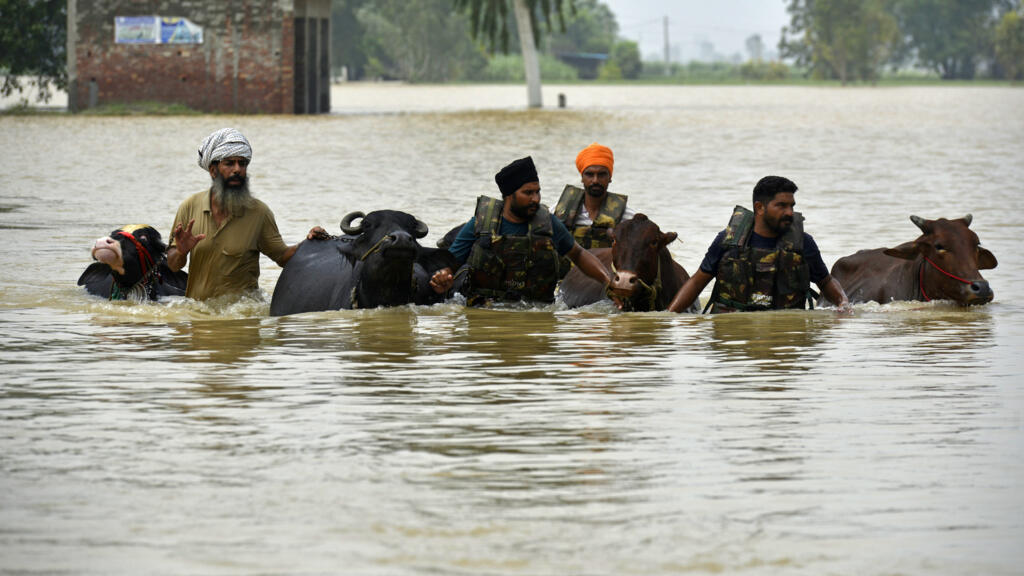 Al menos 29 personas murieron por las inundaciones en el estado de Punyab, India