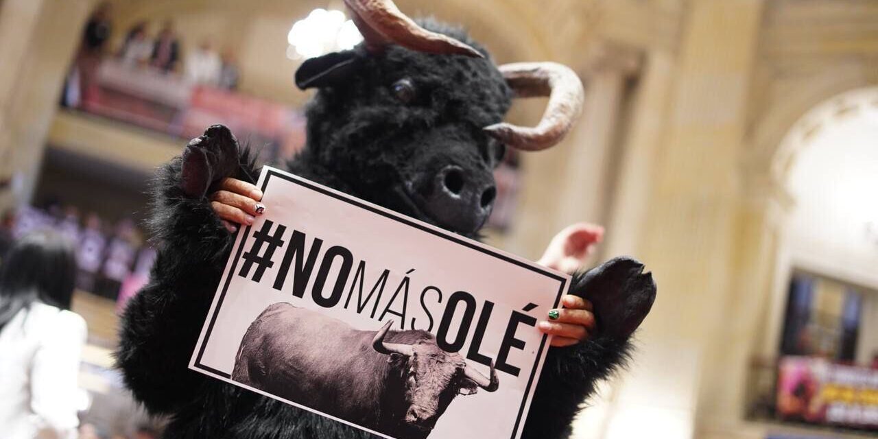 Colombia prohíbe las corridas de toros y las peleas de gallos tras años de debate