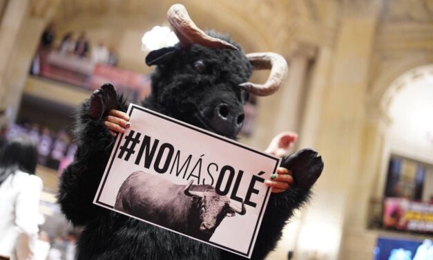 Colombia prohíbe las corridas de toros y las peleas de gallos tras años de debate