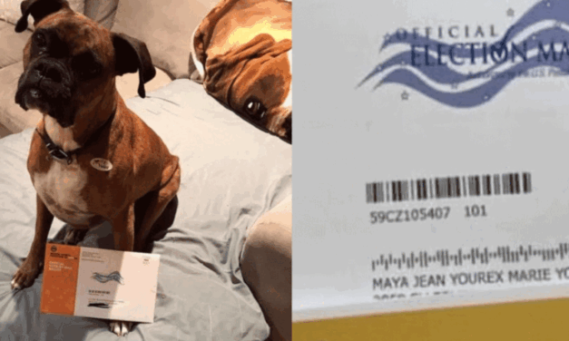 Mujer podría ir a la cárcel por registrar a su perra para votar en EE. UU.