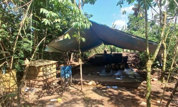 Destruyen cuatro narco laboratorios en Ucayali, Perú