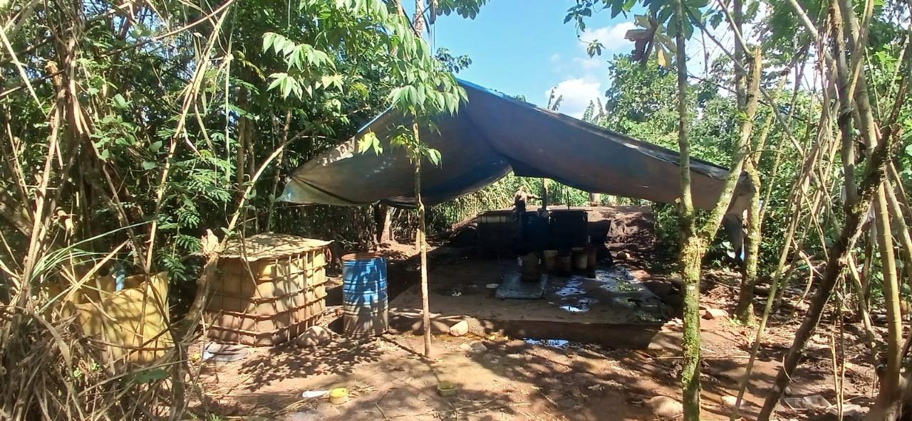 Destruyen cuatro narco laboratorios en Ucayali, Perú