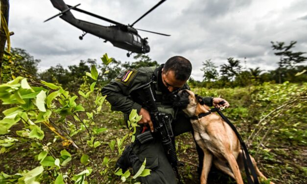 ¿Qué es la descertificación y por qué EE. UU. se lo atribuye a Colombia?