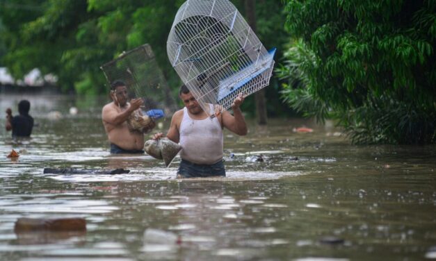 Al menos 29 muertos y graves daños por las lluvias torrenciales en México