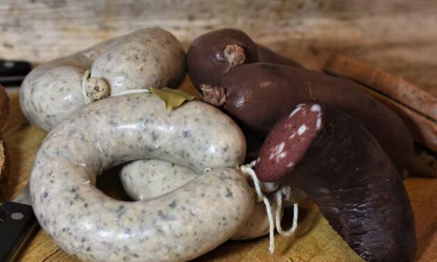 Allanaron una carnicería por vender carne de gato en Salto, Argentina