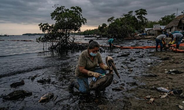 Derrame de petróleo en el Golfo de México afecta cerca de 630 km de costa
