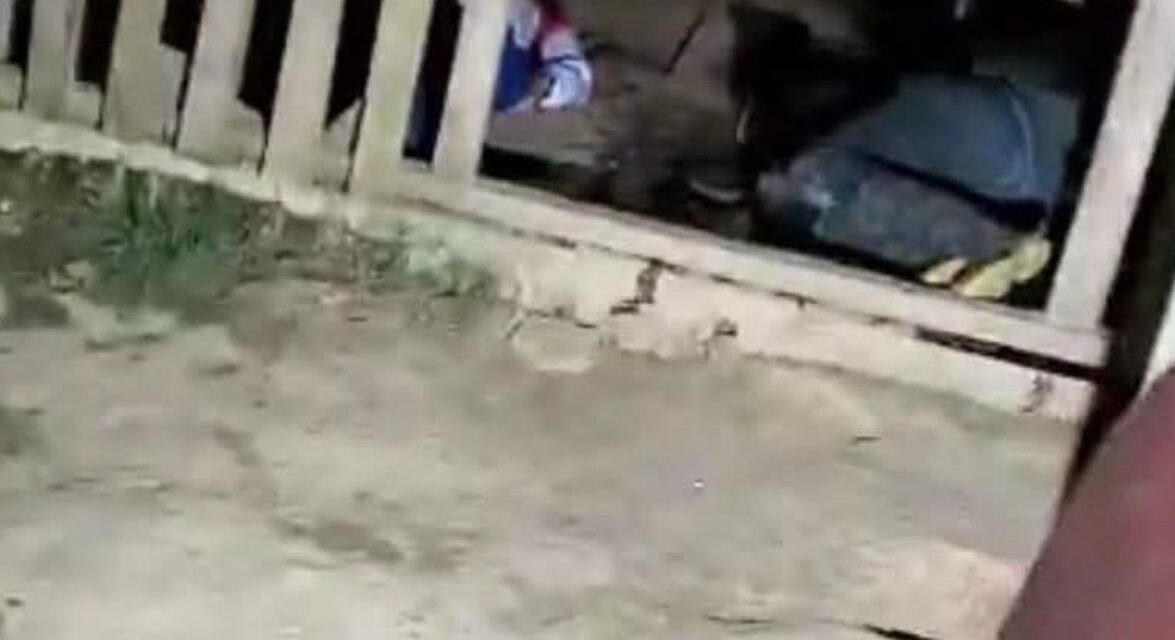 Autoridades investigan triple homicidio registrado en El Paraíso, Honduras