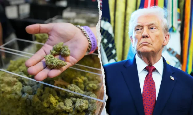 Estados Unidos reclasifica la marihuana medicinal con el propósito de investigar su uso