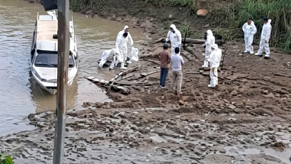 Recuperan 48 cadáveres tras enfrentamiento armado entre las disidencias de alias “Calarcá” e “Iván Mordisco”