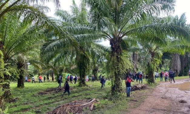 Masacre en Colón, Honduras de al menos 10 personas muertas