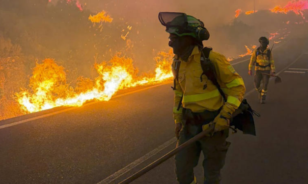Incendio forestal deja 13 muertos, 12 son extranjeros, en Andalucía, España