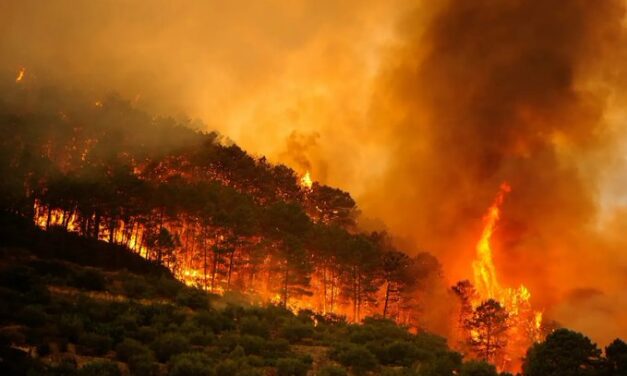 Incendio forestal provoca la muerte de más de 12 personas en el sur de España