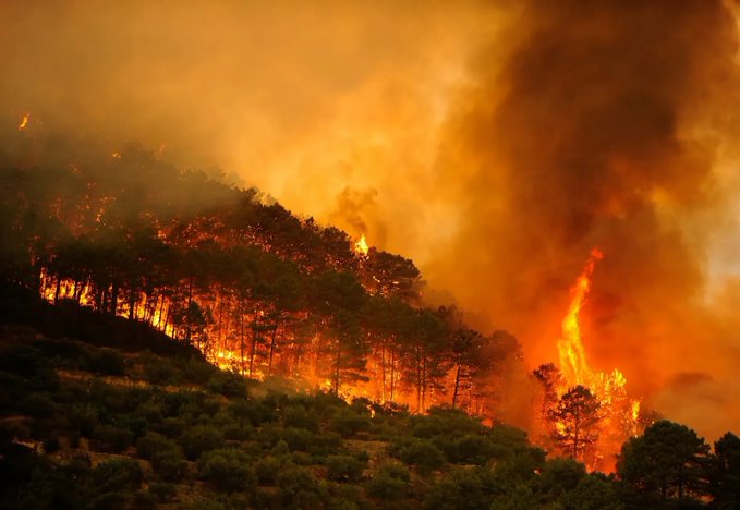 Incendio forestal provoca la muerte de más de 12 personas en el sur de España
