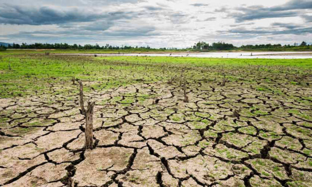 Alerta máxima por sequías provocadas por «El Niño» en El Salvador