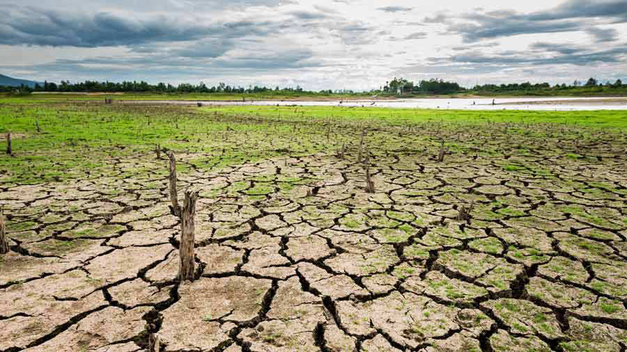 Alerta máxima por sequías provocadas por «El Niño» en El Salvador