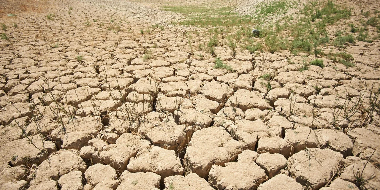 Europa vive una sequía generalizada y una nueva ola de calor