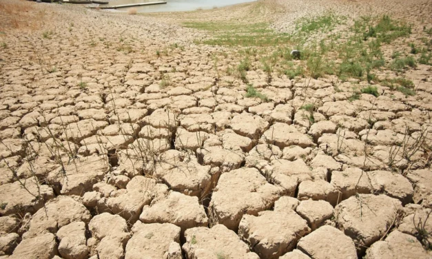 Europa vive una sequía generalizada y una nueva ola de calor