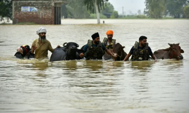 Inundaciones en India afectan a millones de personas