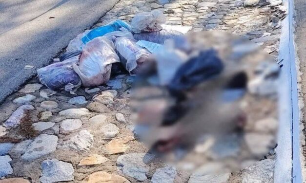 Localizan tres cuerpos descuartizados en Guerrero, México