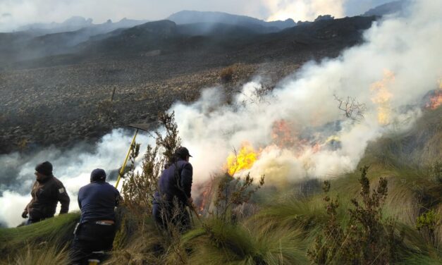 Un incendio forestal aumentó la amenaza en la capital de Ecuador, Quito.