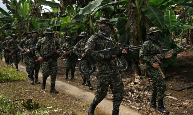 Siete disidentes de las Farc muertos en operación militar