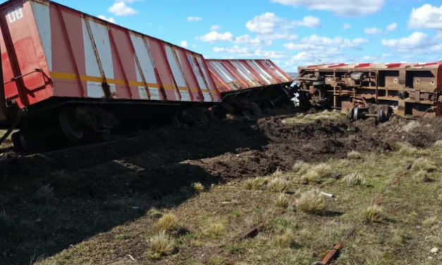Un tren con 600 toneladas de carbón descarriló en Santa Cruz, Argentina
