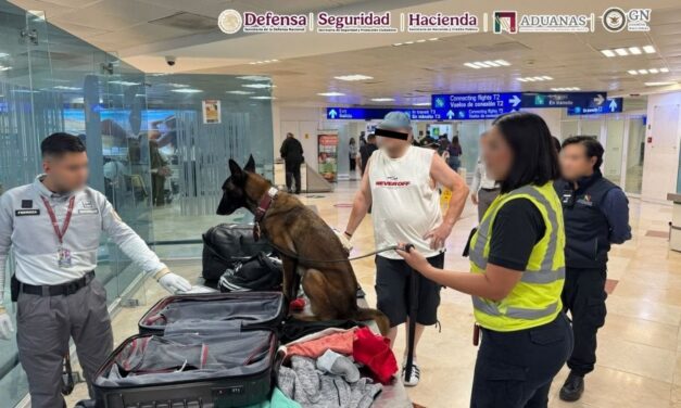 Detectan 10 kilos de cocaína ocultos en el fondo de una maleta en aeropuerto de México