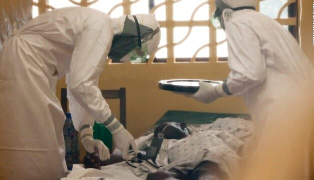 Bélgica confirma dos muertes por el virus del Nilo Occidental en medio de un brote récord en Europa