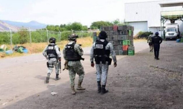 Tres muertos tras ataque armado en una empacadora de aguacate en Michoacán, México